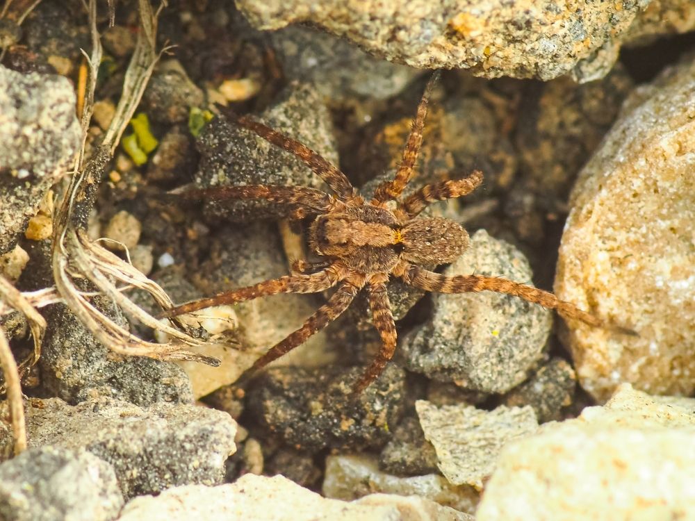 Photograph by Gotcha Biniashvili