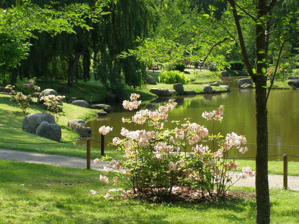 Photograph by Mарина Лесницкая