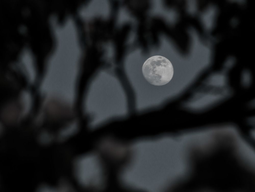 Photograph by Леонид Соснин