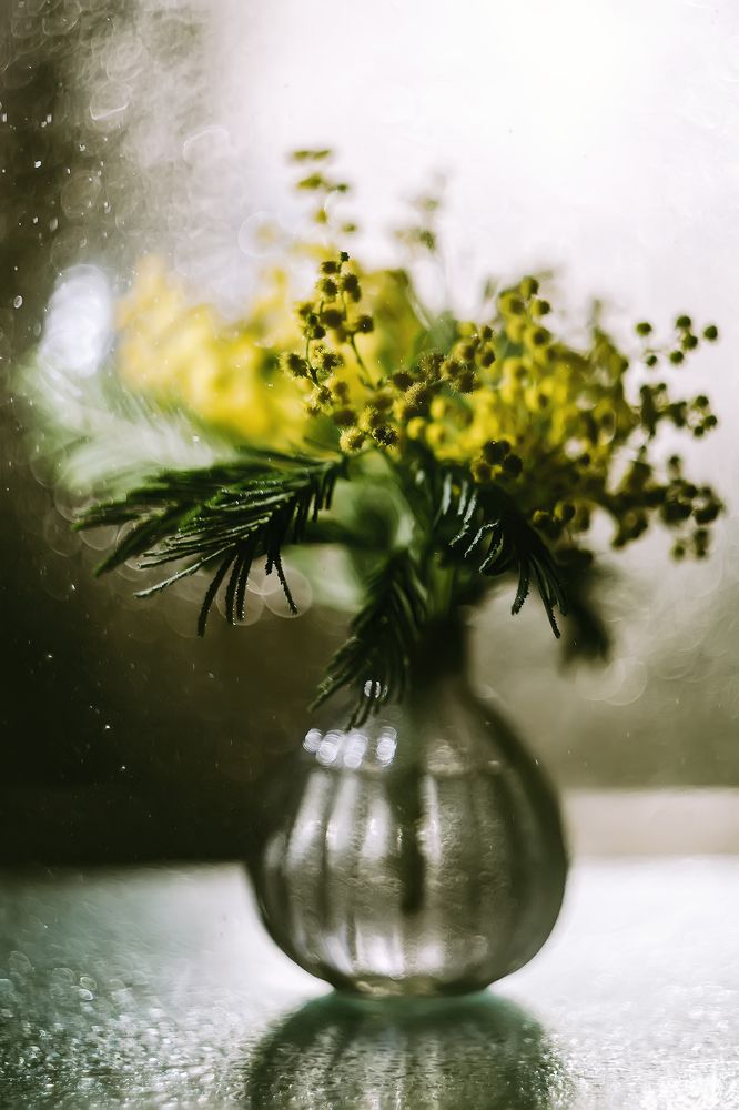 Photograph by Галина Царькова