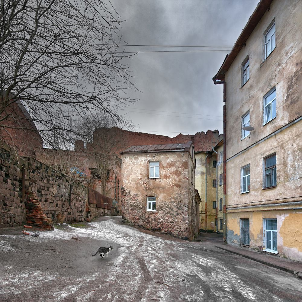 Photograph by Ирина Заколдаева