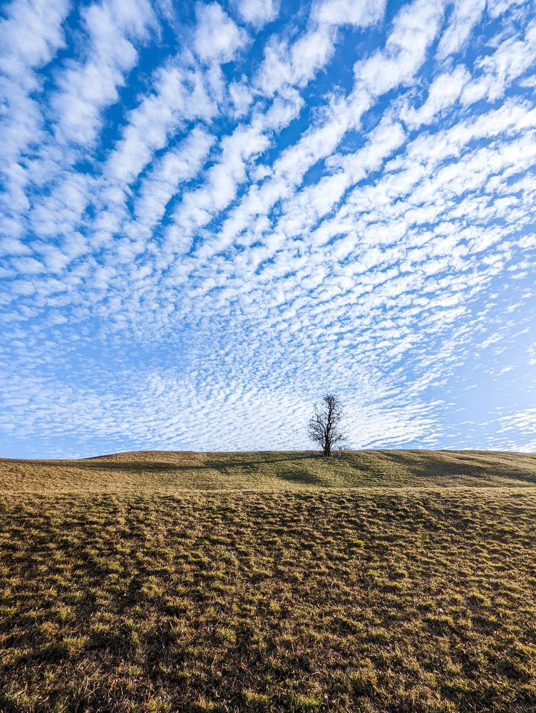 Фотография автора Slawa Rodionow