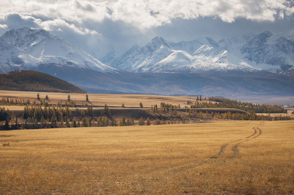 Photograph by Pavel Klishin