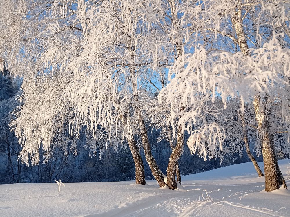 Фотография автора Кухта Мария