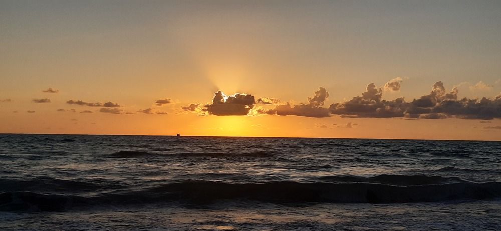 Photo #7242470