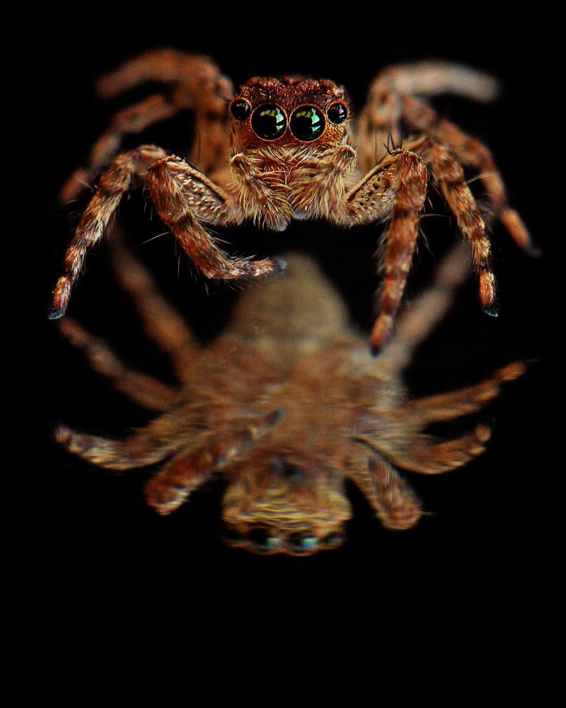 Photograph by Benjamine Dharashan