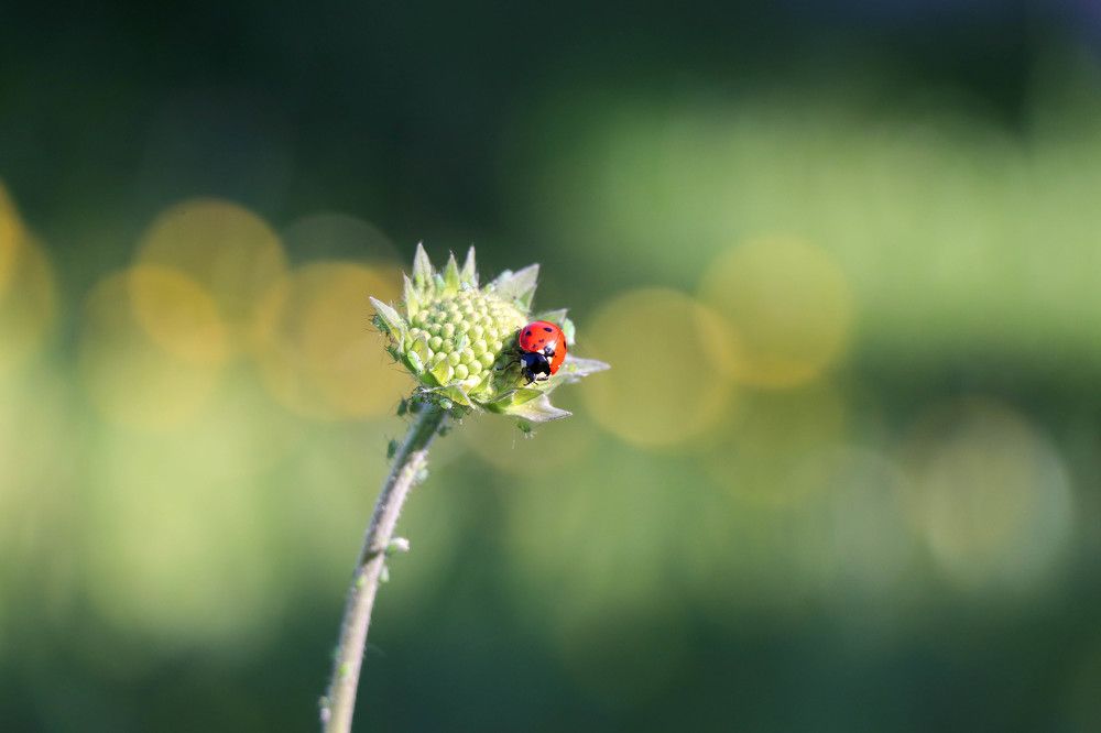 Photograph by Gregor Kobilica