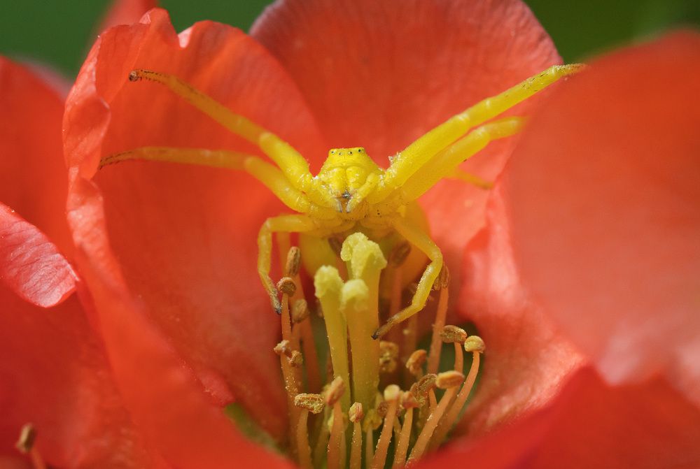 Photograph by Олег Милеев (Каминцев)