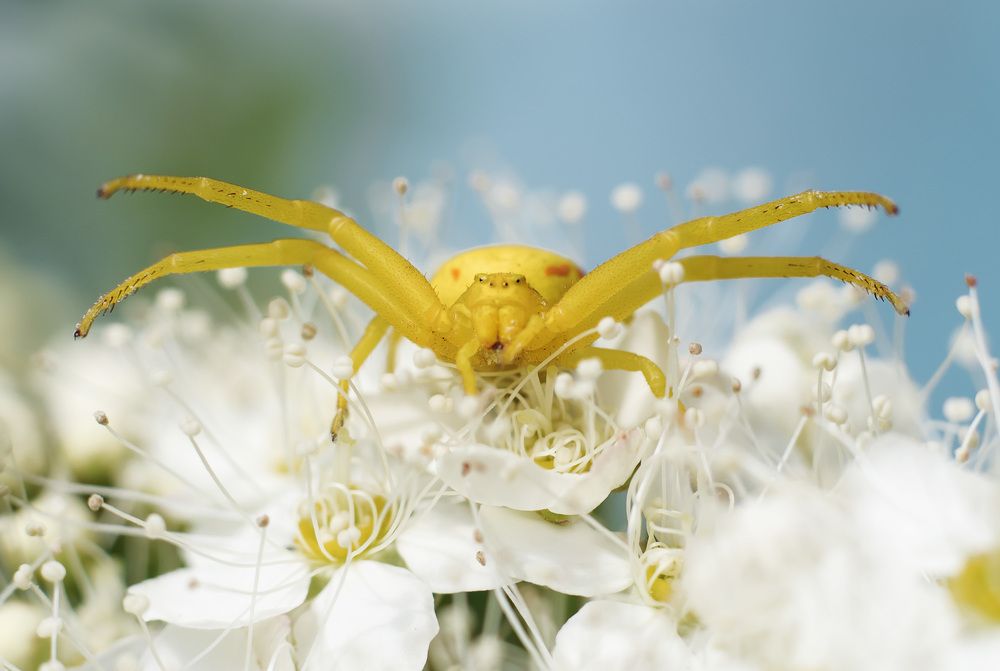 Photograph by Олег Милеев (Каминцев)