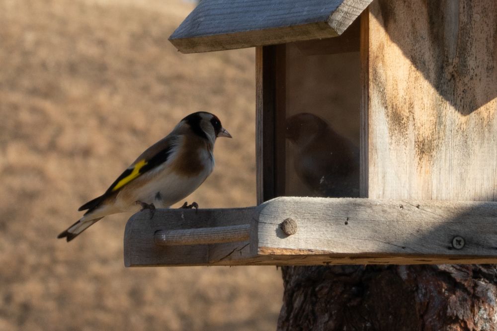 Photograph by Gregor Kobilica