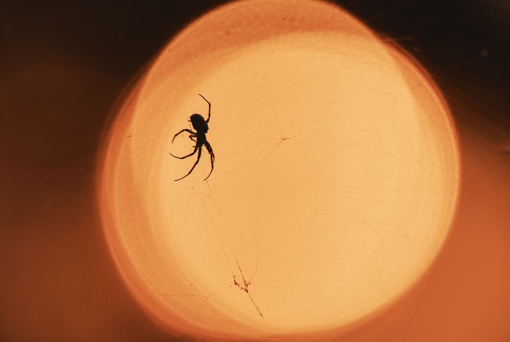 Photograph by Олег Милеев (Каминцев)