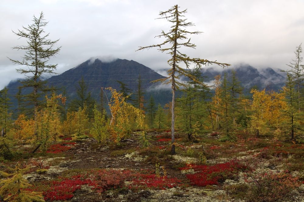 Photograph by Демьян Булавинец