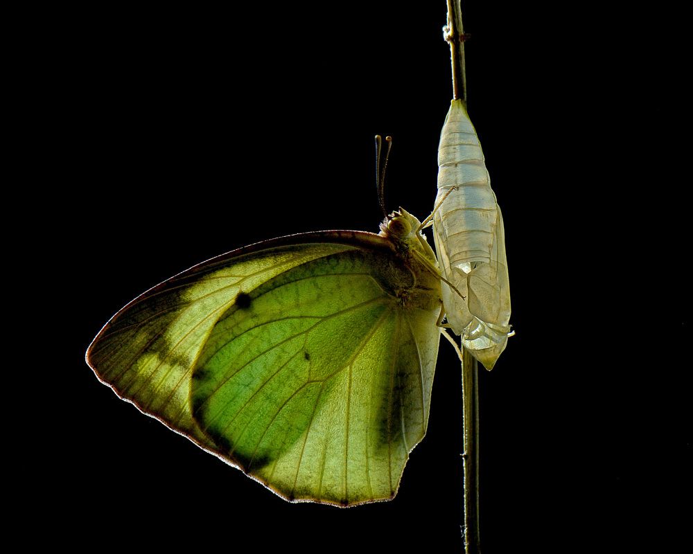 Photograph by Benjamine Dharashan