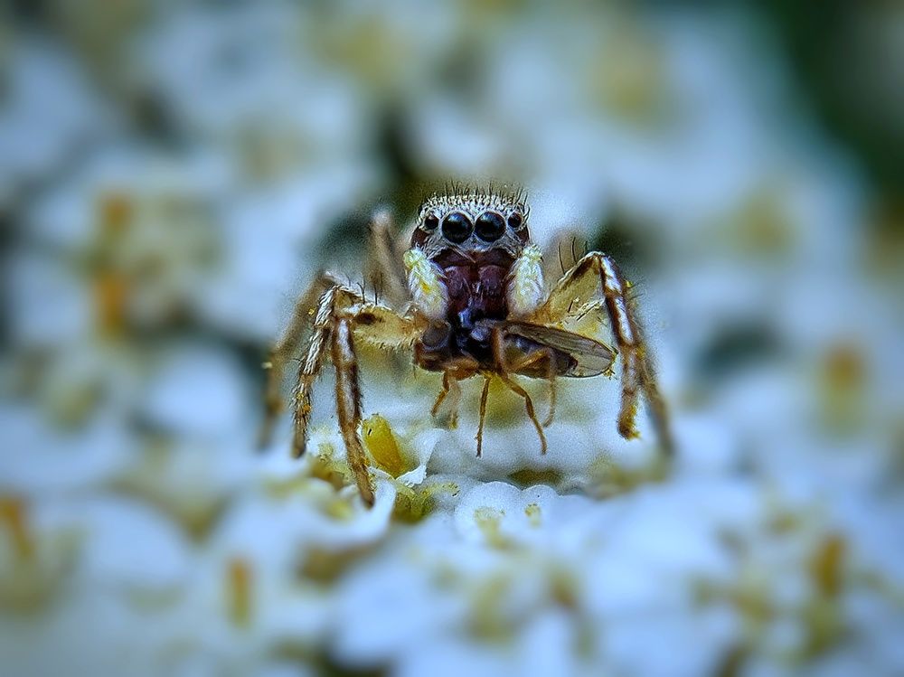 Photograph by Ольга Веселова