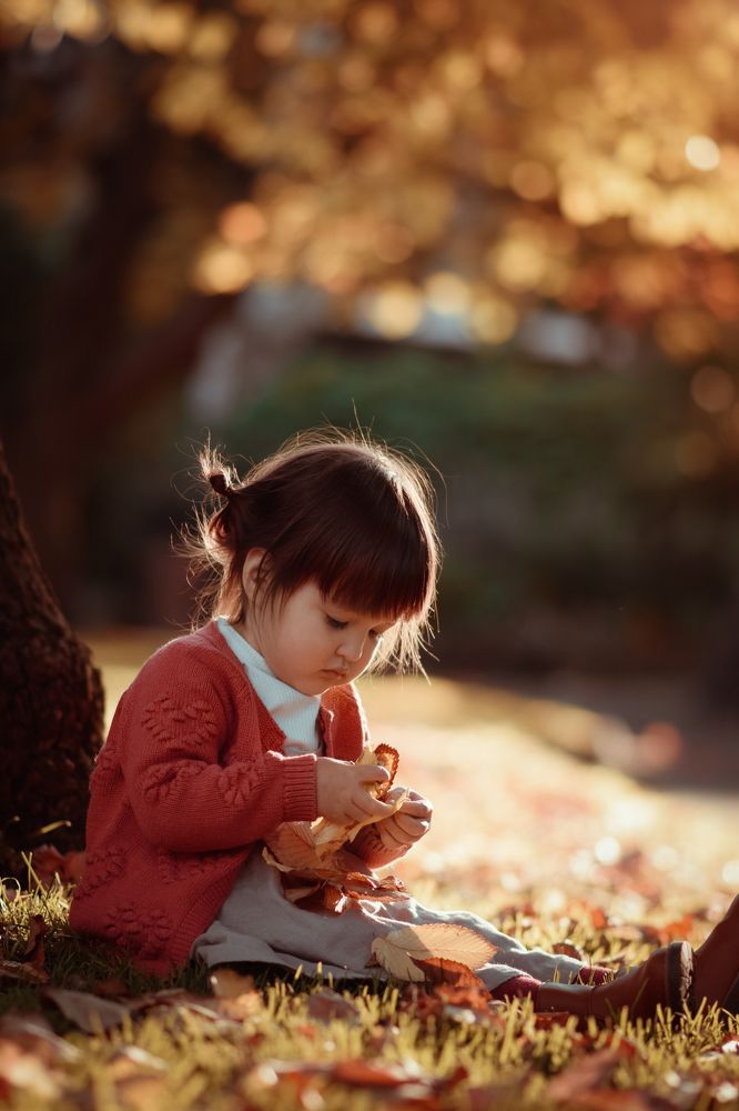 Колликционер листьев