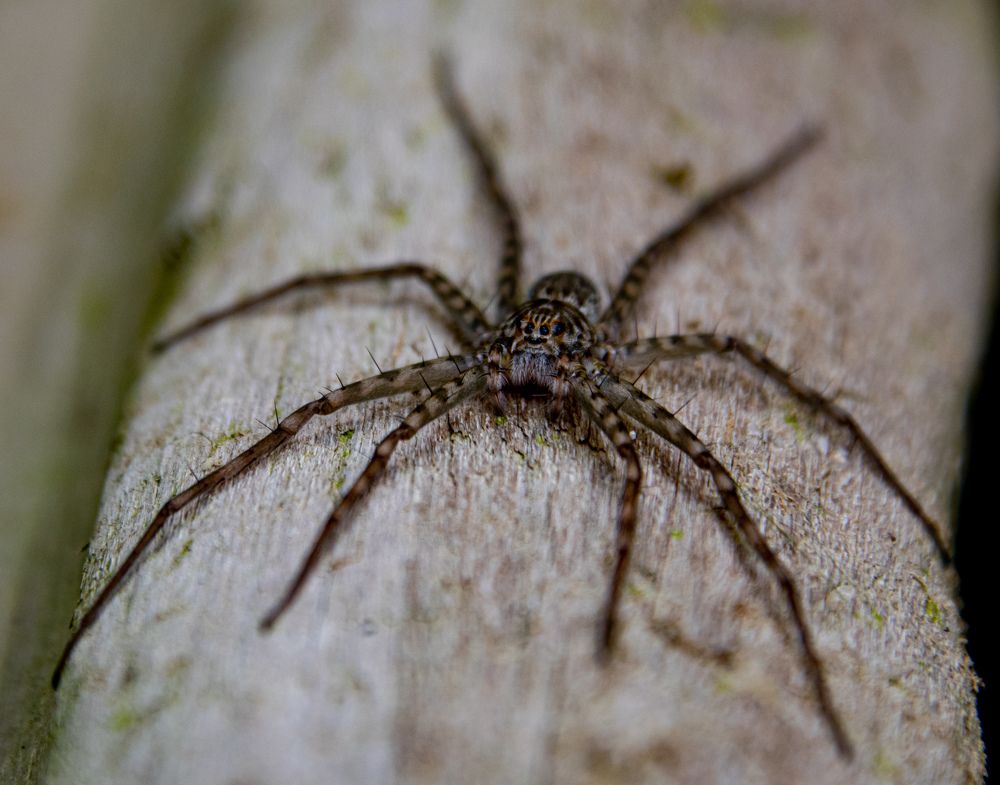 Photograph by Andrea