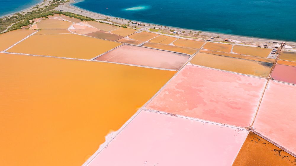 Photograph by Анна Куманцова