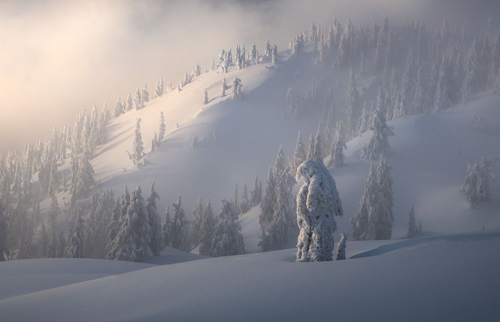 Photograph by Blake Randall