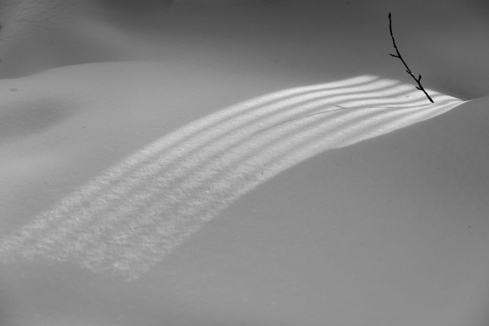 Photograph by Константин шумский