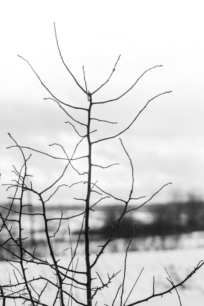 Photograph by Евгений Михеев