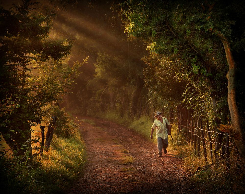 Photograph by Gabriel López López