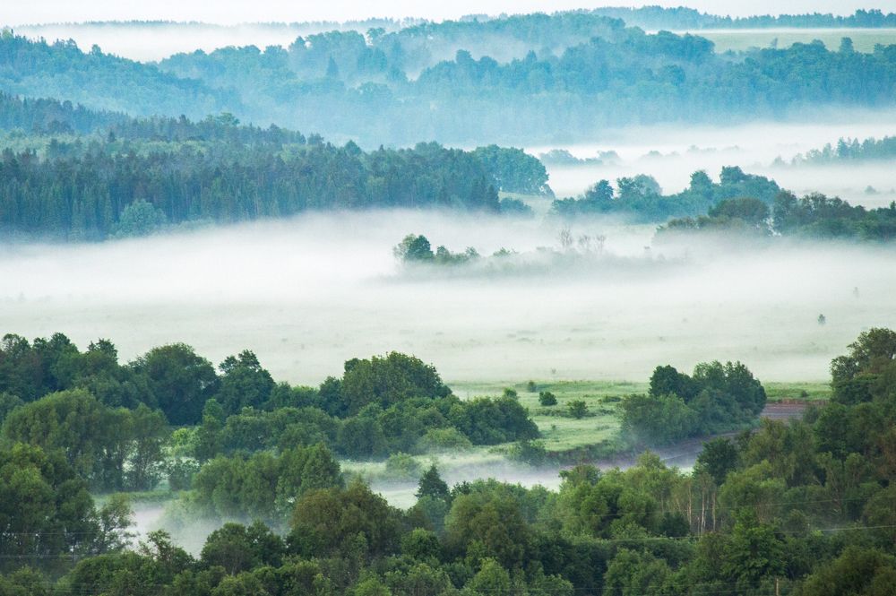 Photograph by Николай Путинцев