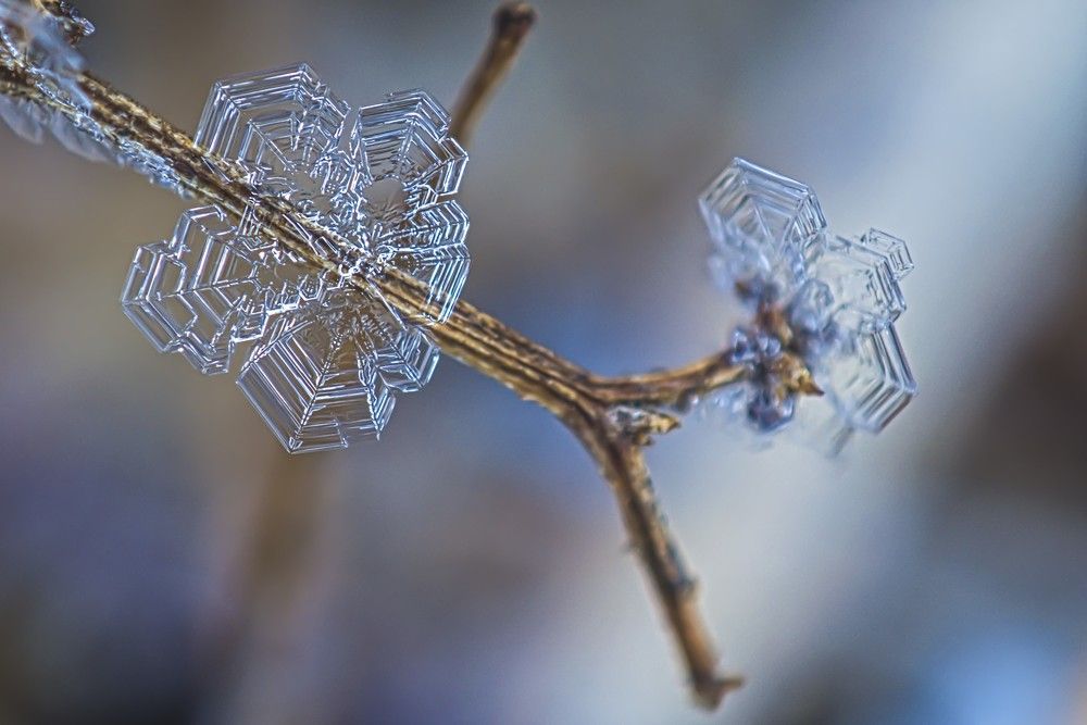 Photograph by Pósa Tamás