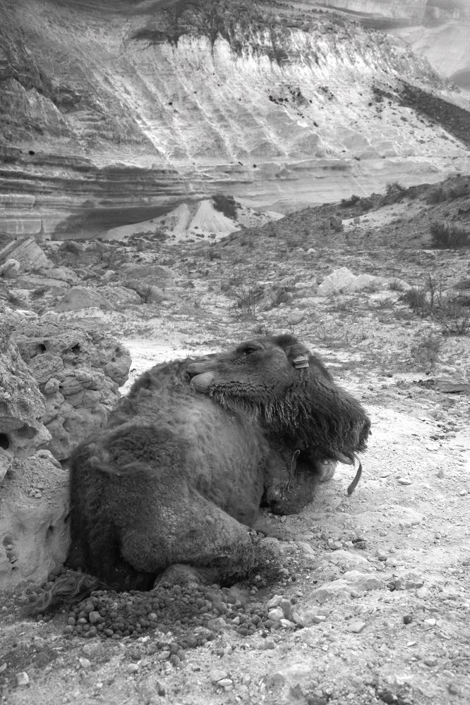 Из последних сил