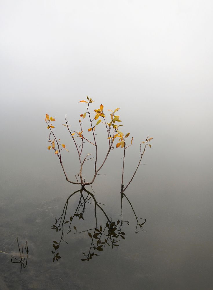 Photograph by Юрий Гау