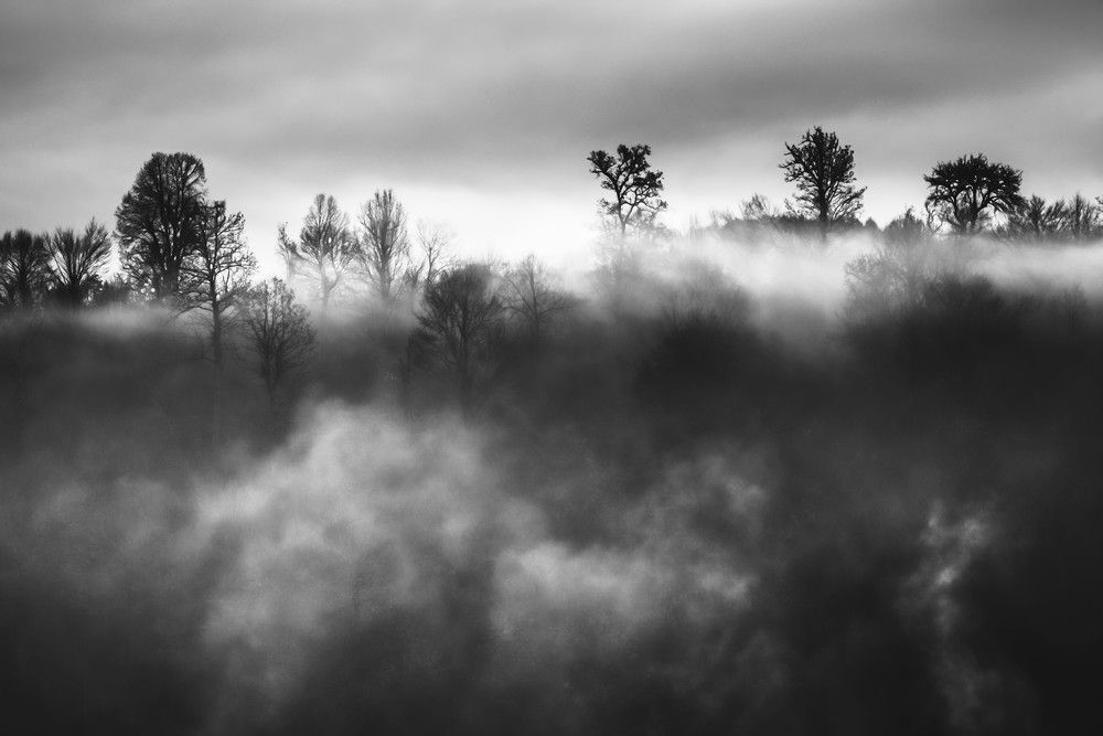 Photograph by Pósa Tamás