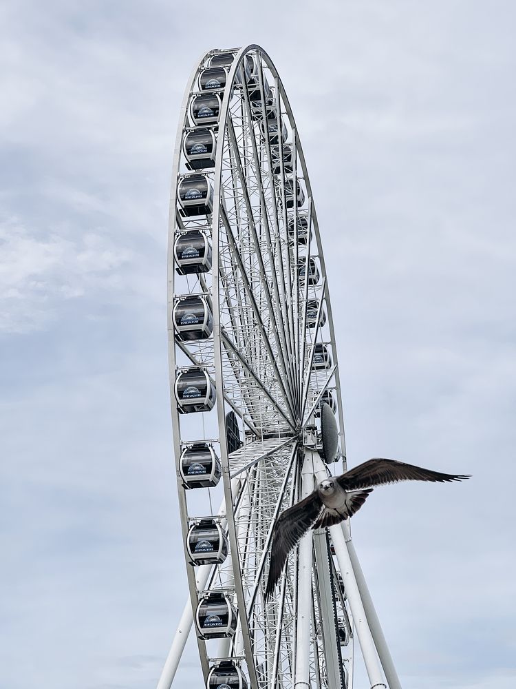 Photograph by Svitlana Krichevsky