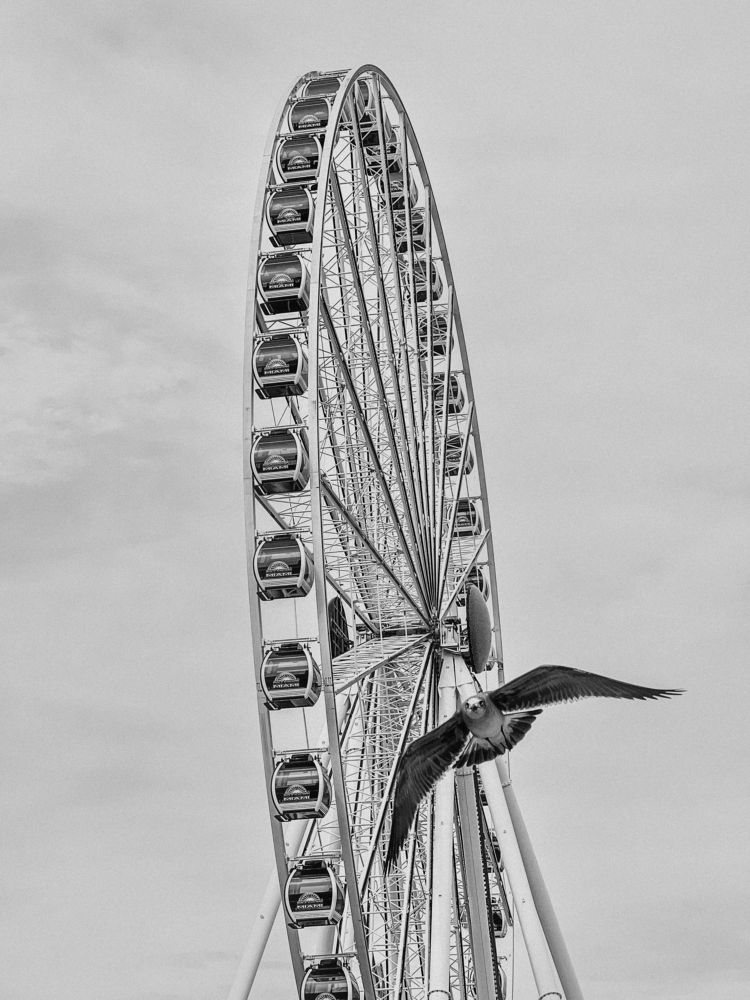 Photograph by Svitlana Krichevsky