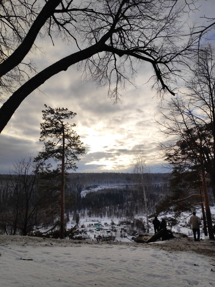 Photo #7243222