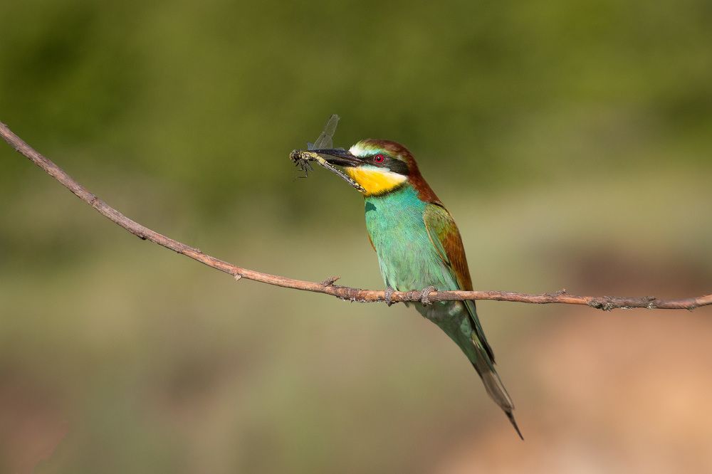 Photograph by Алексей Юденков