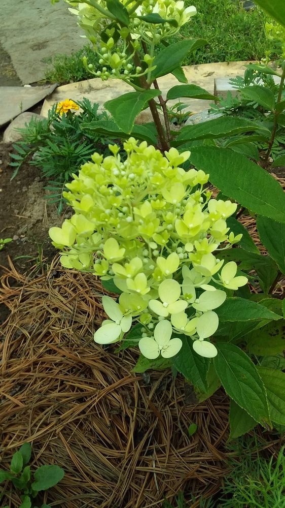 Photograph by Наталья Оленичева