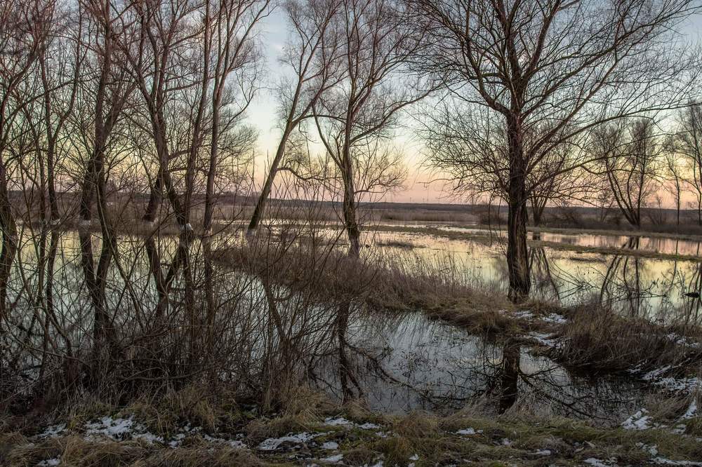 Фотография автора Justyna Jeżak