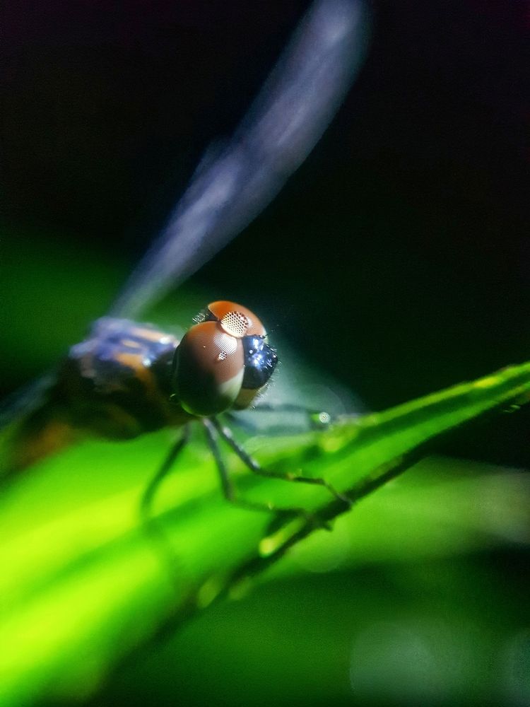 Photograph by Champ Kasun