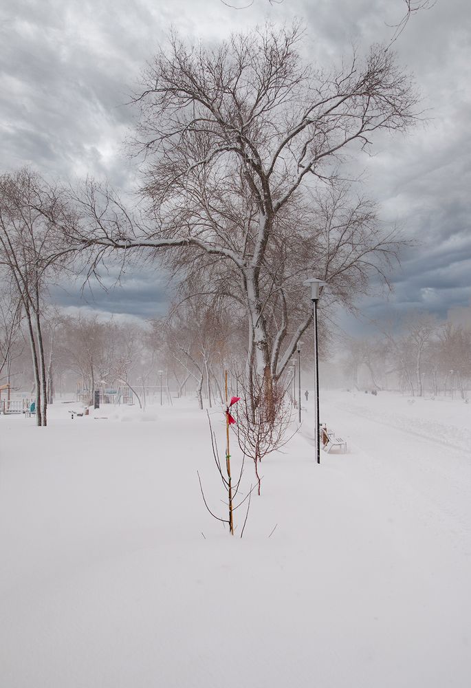 Photograph by Сергей Кириллов