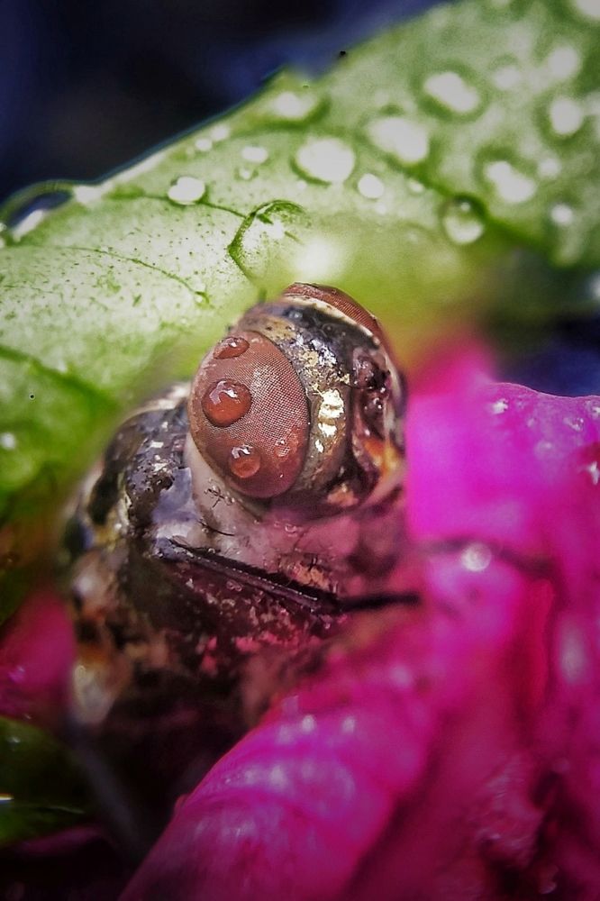 Photograph by Champ Kasun