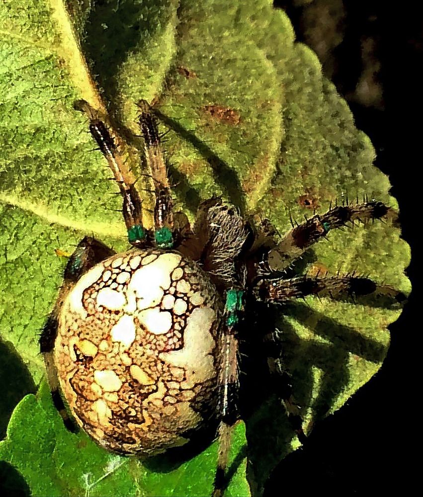 Photograph by Михаил Малец