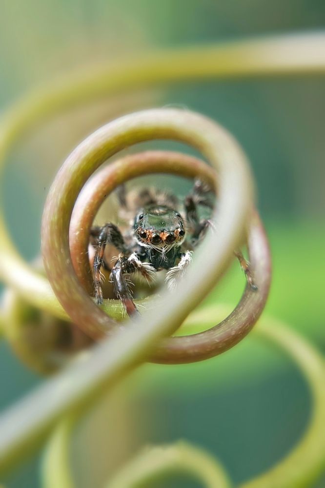 Photograph by Champ Kasun