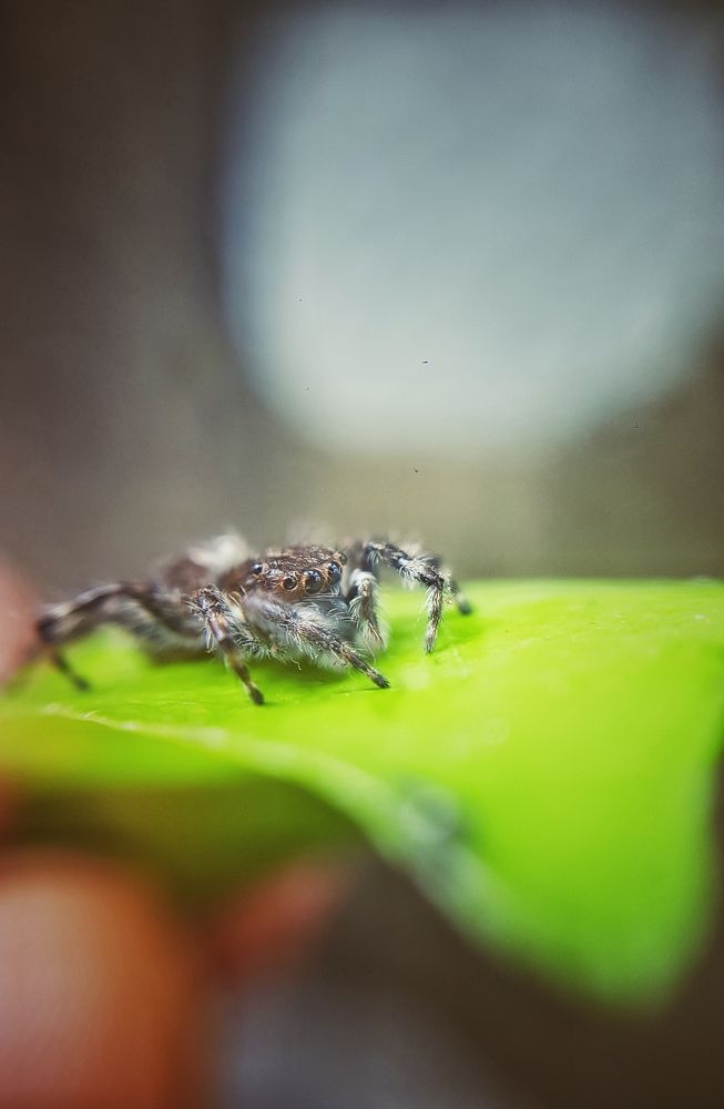 Photograph by Champ Kasun