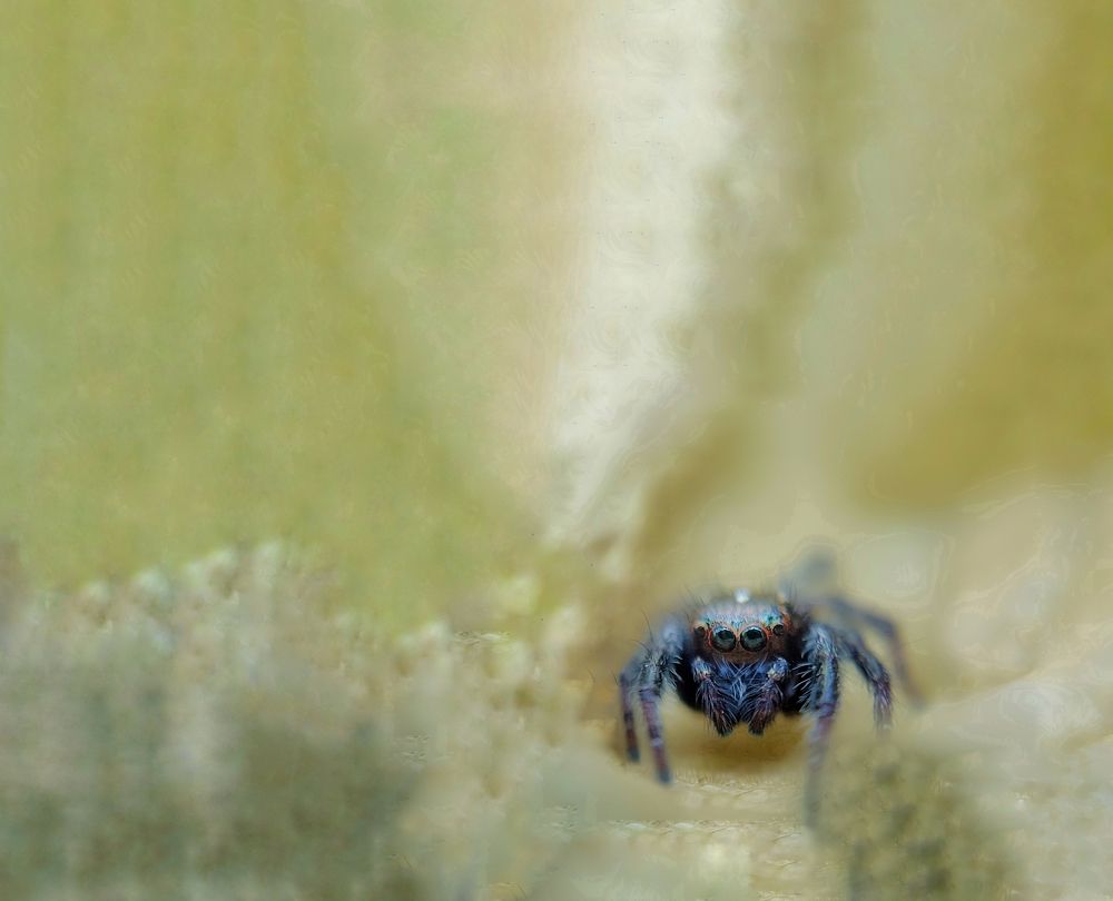 Photograph by Champ Kasun