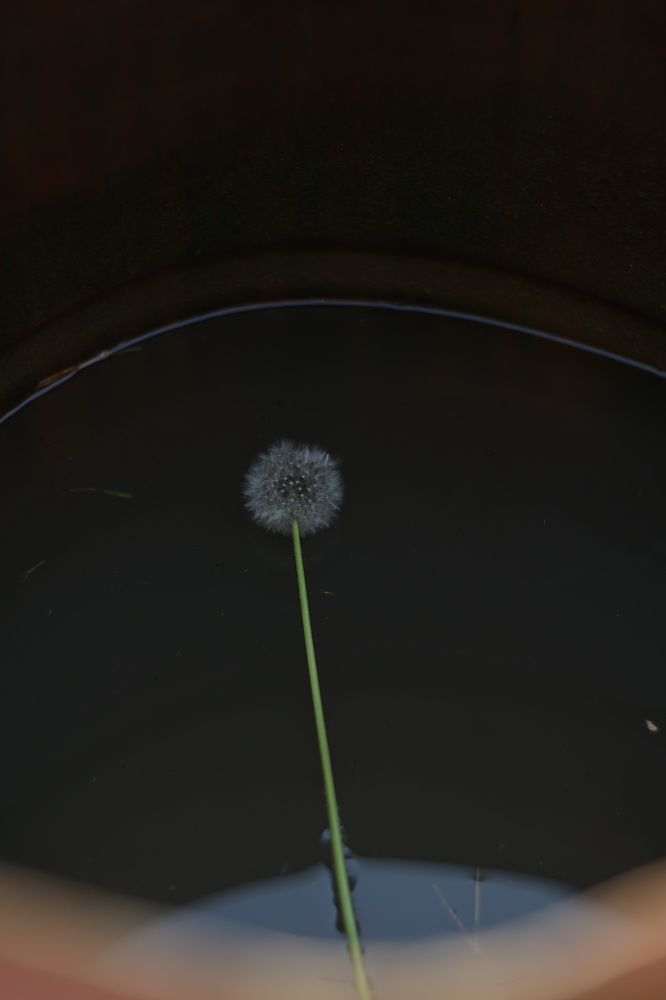 Конечность