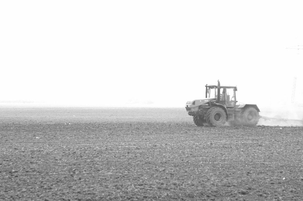 Photograph by Алина Брагина