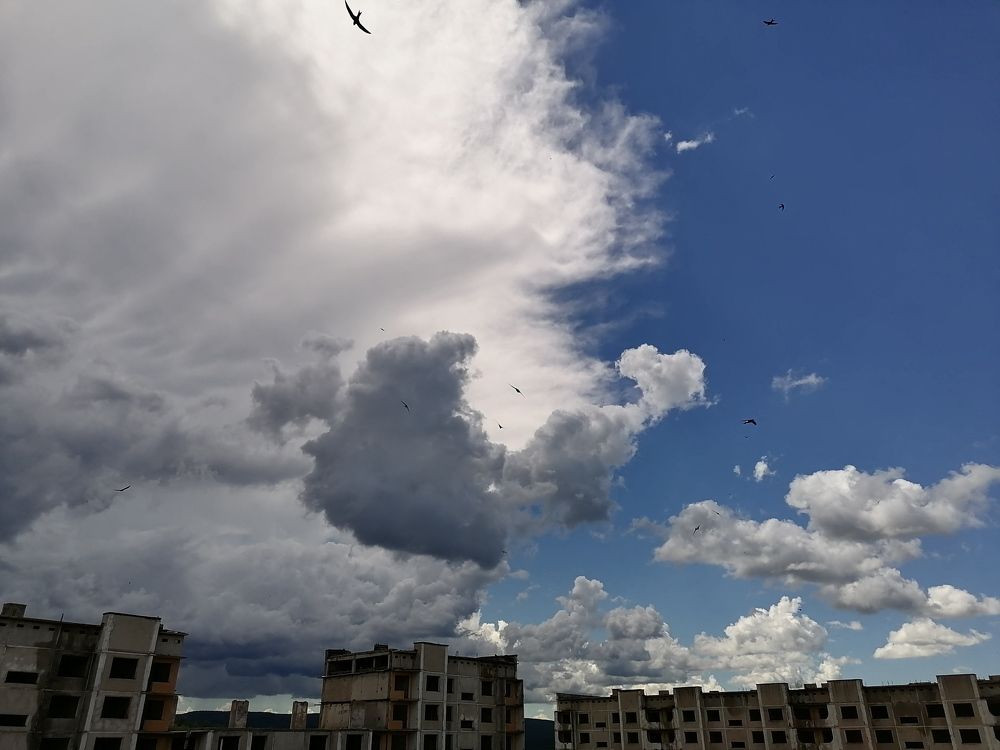 Photograph by Алексей Житников