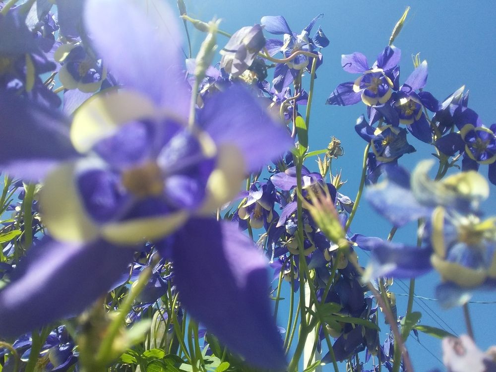 Photograph by Кирилл Уржумов