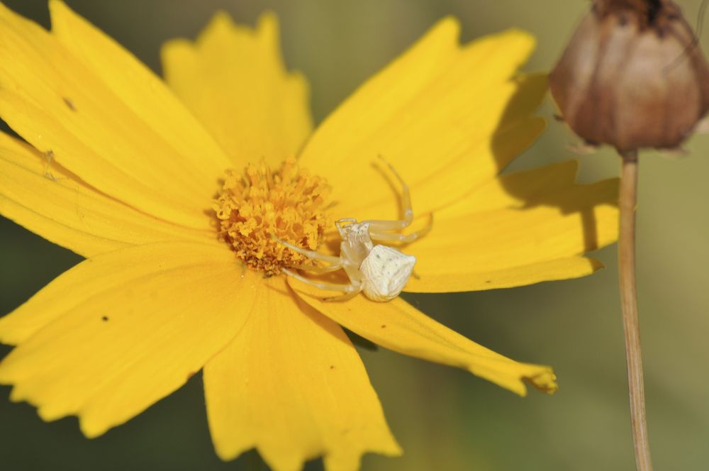 Photograph by Шикова Татьяна