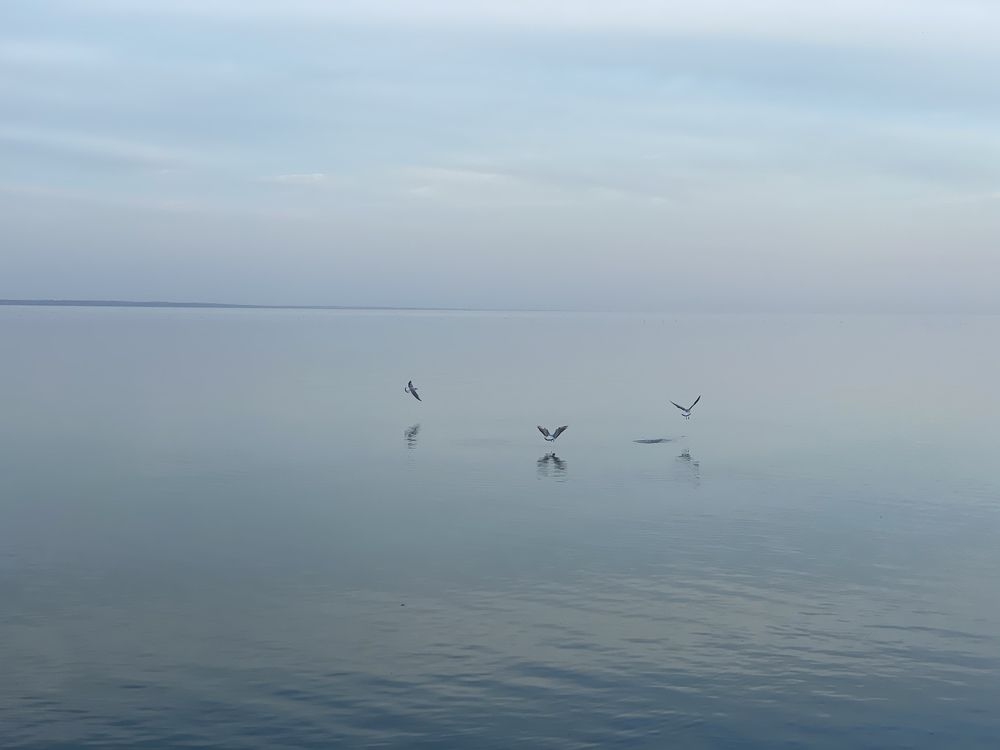 Фотография автора Ольга Горюнова