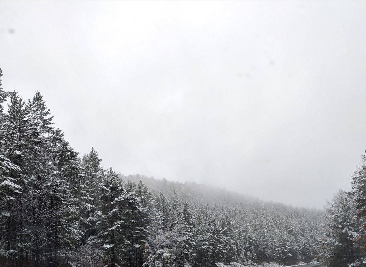 Photo #7243469